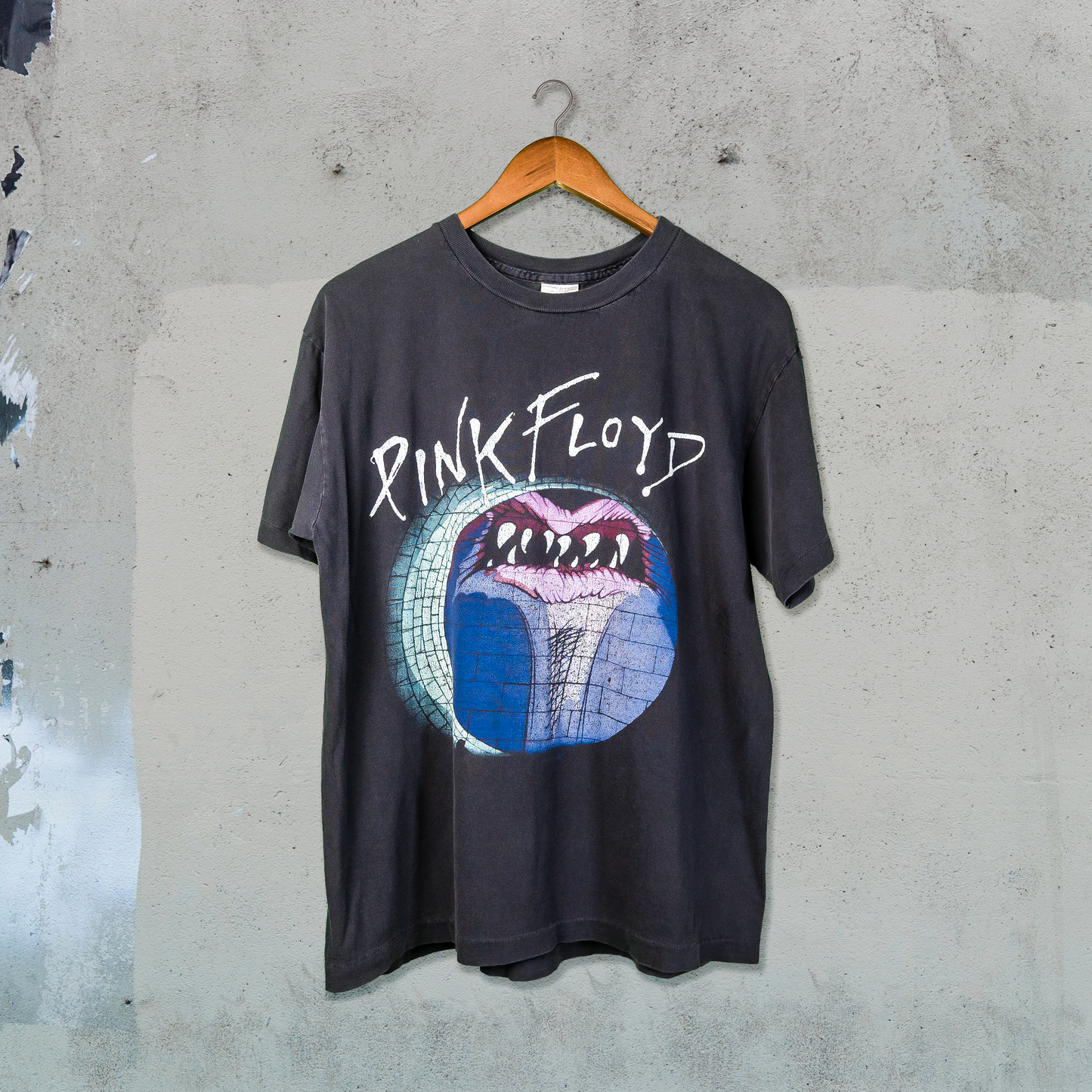 Pink Floyd Frightened Ones