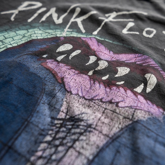 Pink Floyd Frightened Ones